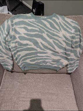 H&M Mint and Cream Zebra-Pattern Crewneck Sweater